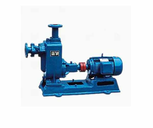 ZWϵ��������