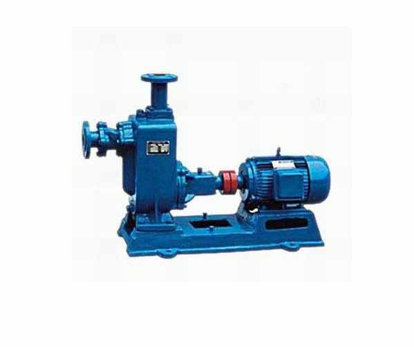 ZW�޶���������