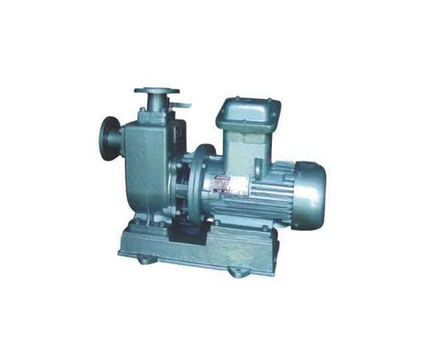 ZXL��ֱ��ʽ��ˮ������