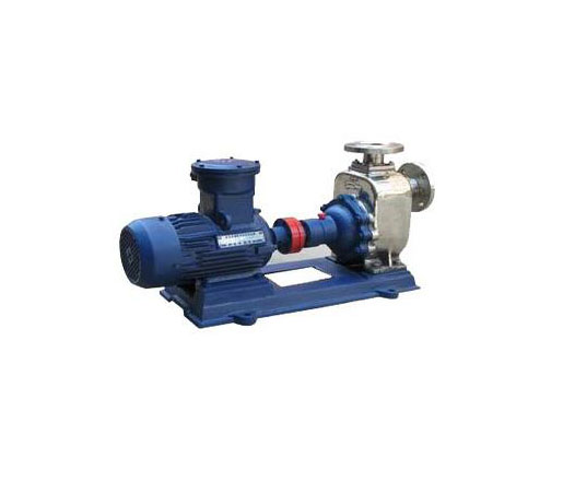 ZXWPB����ַ���������